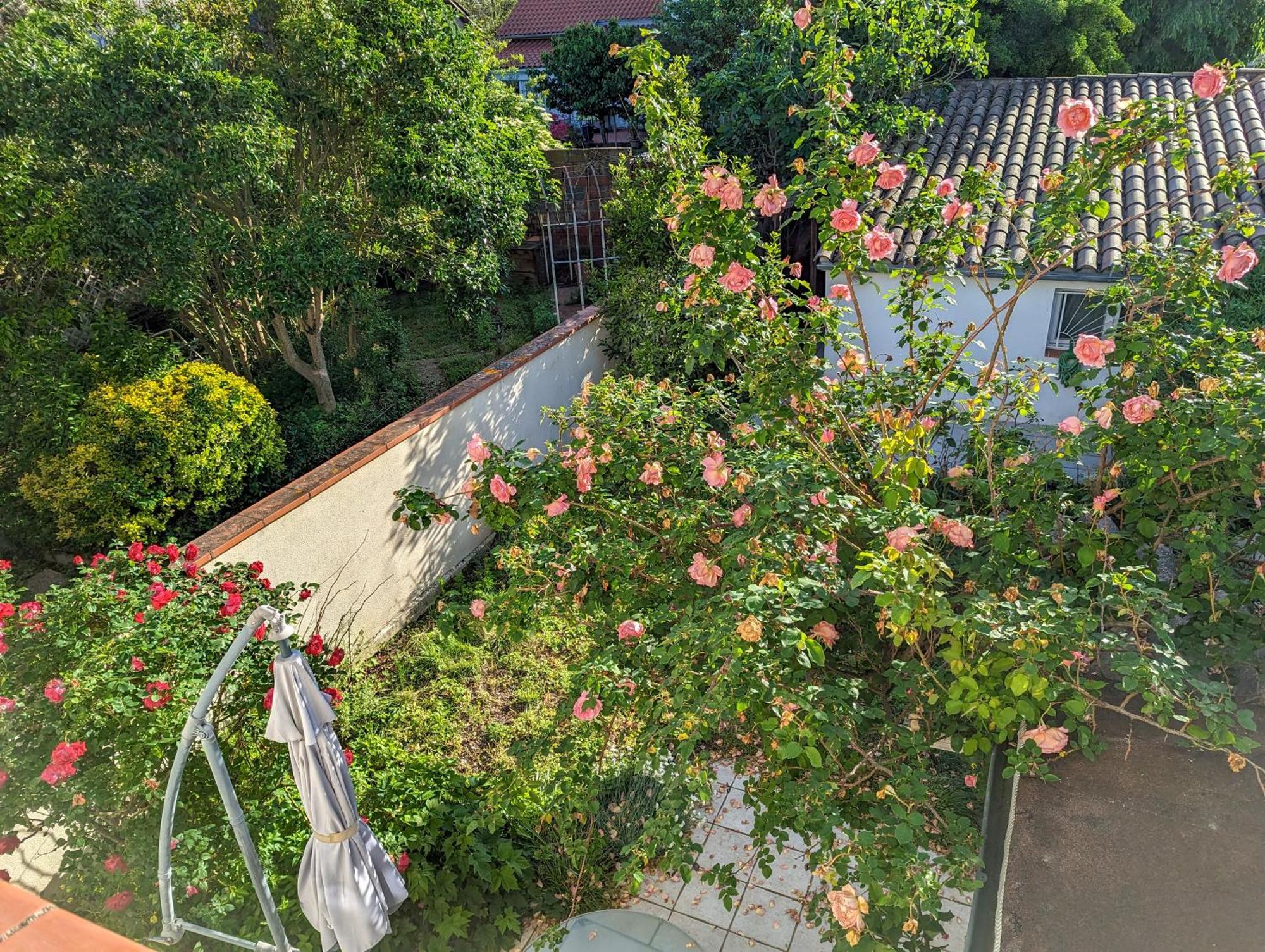 La Maison Calme Et Lumineuse Avec Jardin Toulouse Kültér fotó